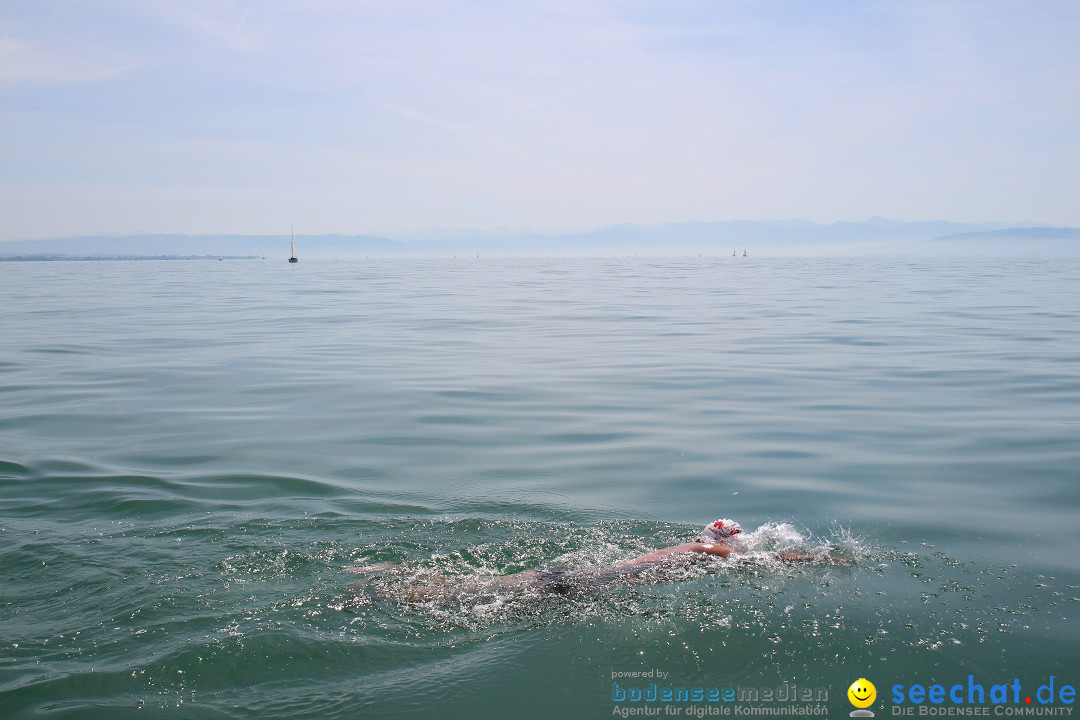 Bodenseequerung- seechat: Dr Stefan Jung: Friedrichshafen, 19.07.2014