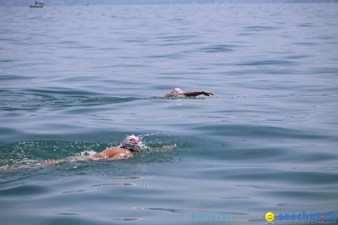 Bodenseequerung- seechat: Dr Stefan Jung: Friedrichshafen, 19.07.2014