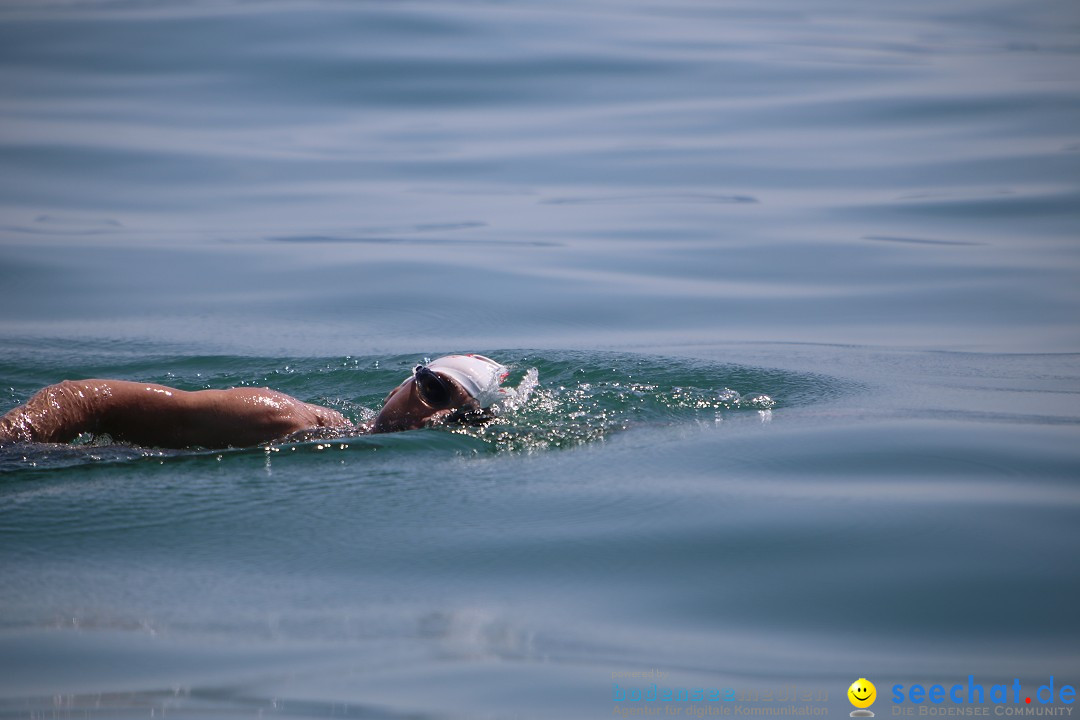 Bodenseequerung- seechat: Dr Stefan Jung: Friedrichshafen, 19.07.2014