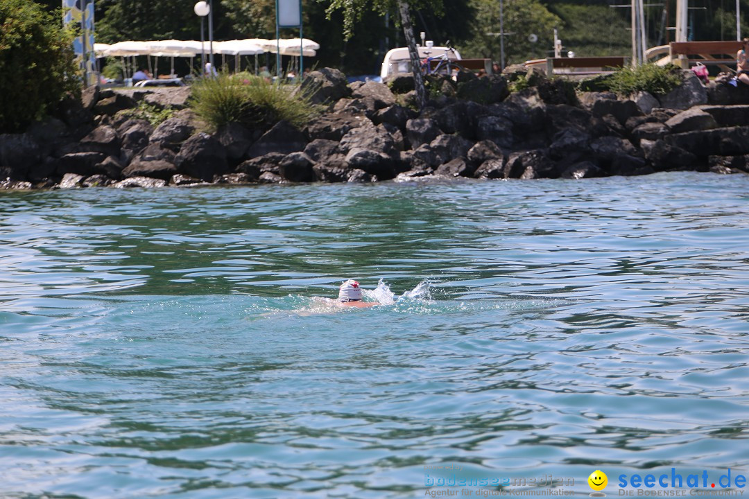 Bodenseequerung- seechat: Dr Stefan Jung: Friedrichshafen, 19.07.2014