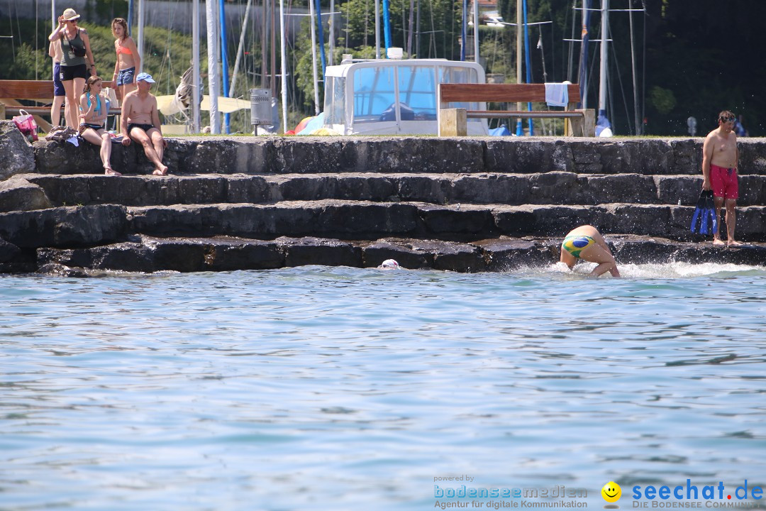 Bodenseequerung- seechat: Dr Stefan Jung: Friedrichshafen, 19.07.2014