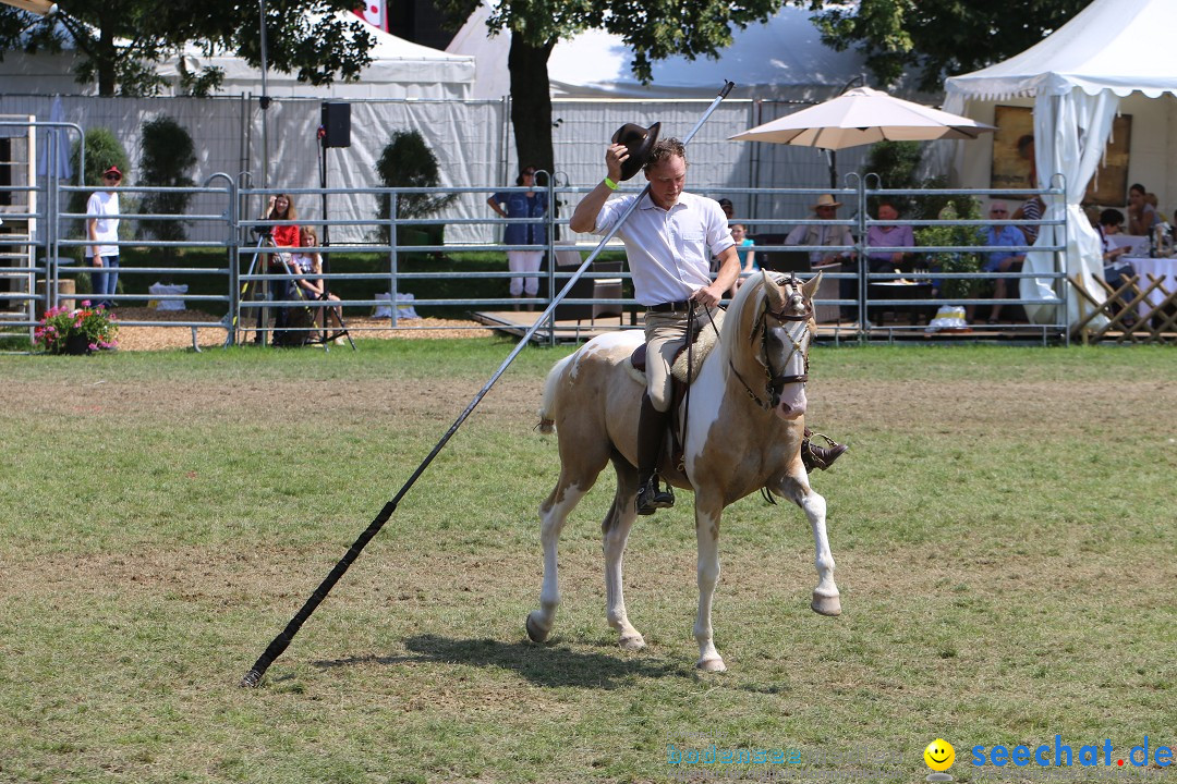 eurocheval - Europamesse des Pferdes - seechat: Offenburg, 27.07.2014