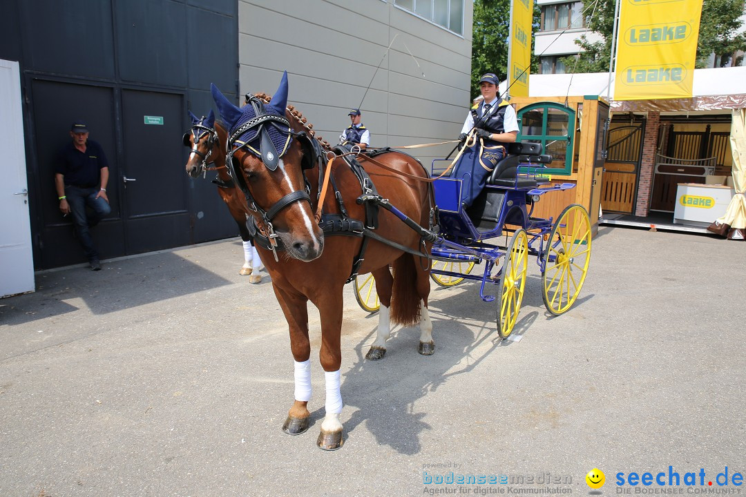 eurocheval - Europamesse des Pferdes - seechat: Offenburg, 27.07.2014