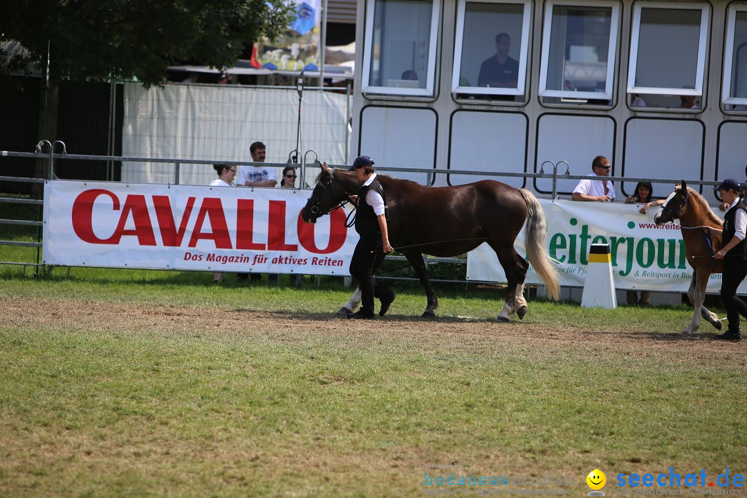 eurocheval - Europamesse des Pferdes - seechat: Offenburg, 27.07.2014