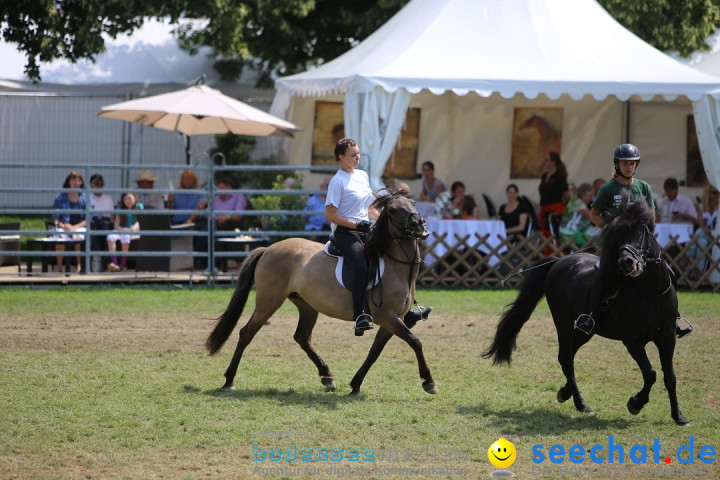 eurocheval - Europamesse des Pferdes - seechat: Offenburg, 27.07.2014