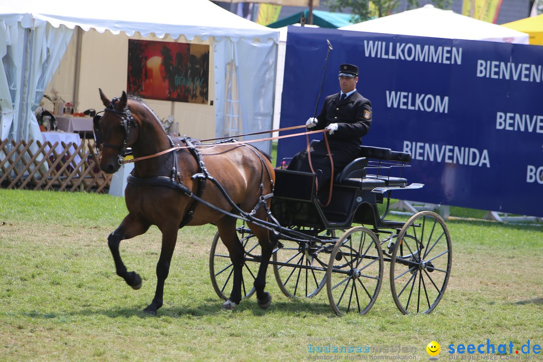 eurocheval - Europamesse des Pferdes - seechat: Offenburg, 27.07.2014