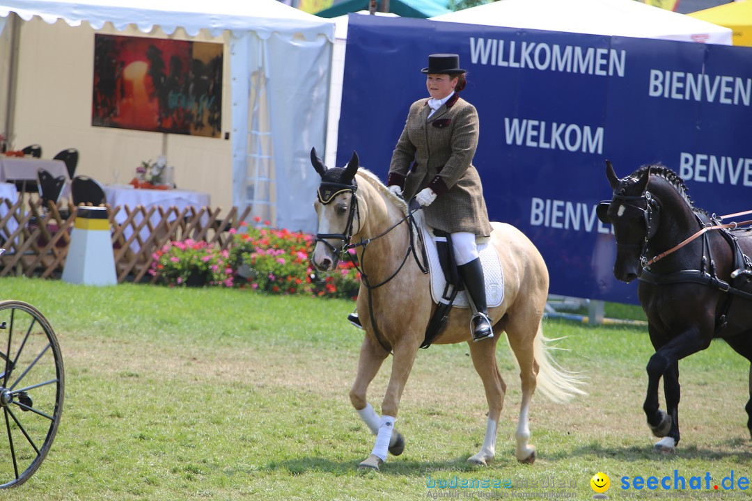 eurocheval - Europamesse des Pferdes - seechat: Offenburg, 27.07.2014
