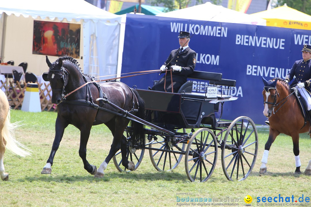 eurocheval - Europamesse des Pferdes - seechat: Offenburg, 27.07.2014
