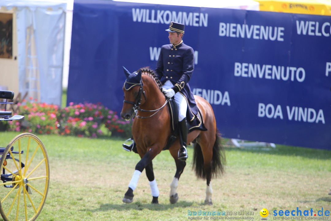eurocheval - Europamesse des Pferdes - seechat: Offenburg, 27.07.2014