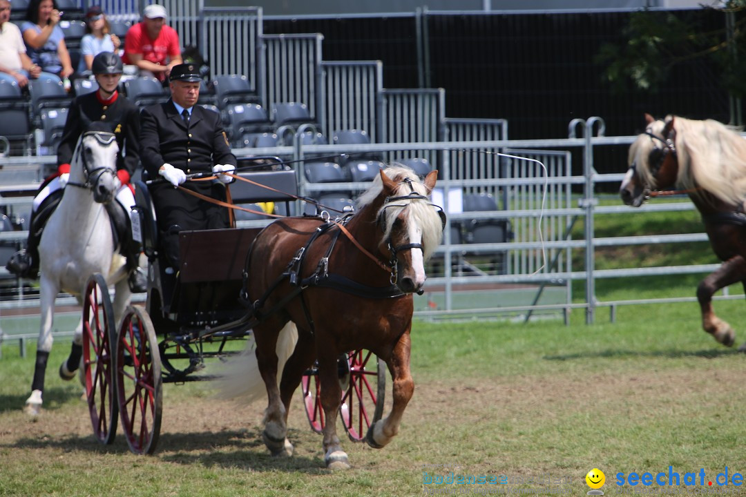 eurocheval - Europamesse des Pferdes - seechat: Offenburg, 27.07.2014