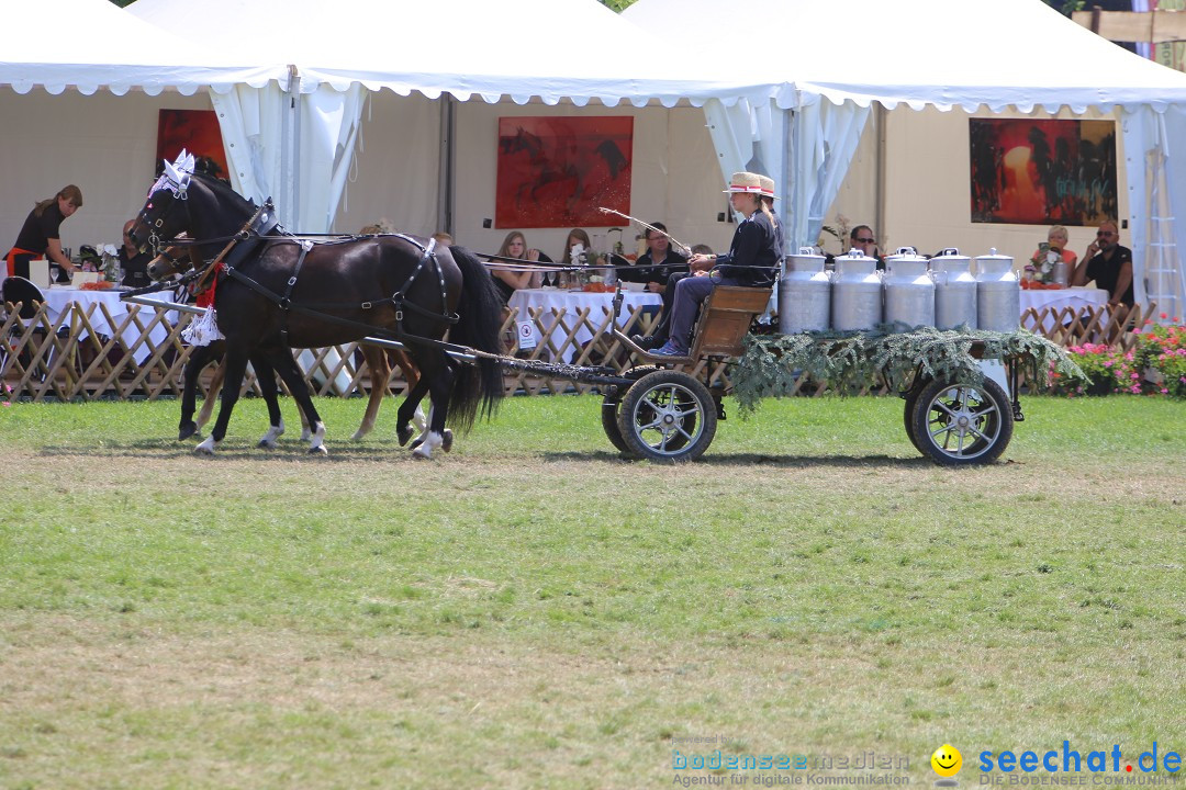 eurocheval - Europamesse des Pferdes - seechat: Offenburg, 27.07.2014