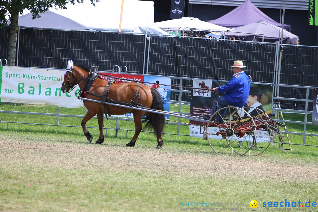 eurocheval - Europamesse des Pferdes - seechat: Offenburg, 27.07.2014