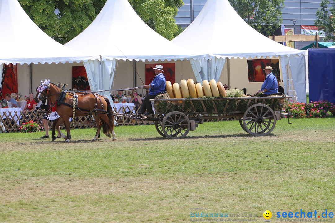 eurocheval - Europamesse des Pferdes - seechat: Offenburg, 27.07.2014