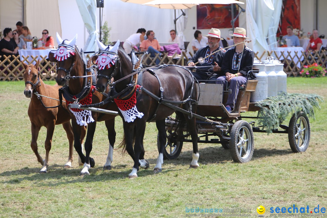 eurocheval - Europamesse des Pferdes - seechat: Offenburg, 27.07.2014