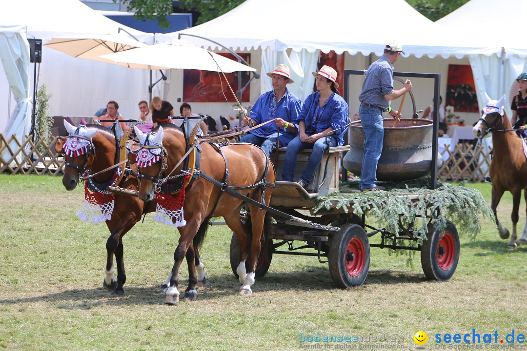 eurocheval - Europamesse des Pferdes - seechat: Offenburg, 27.07.2014