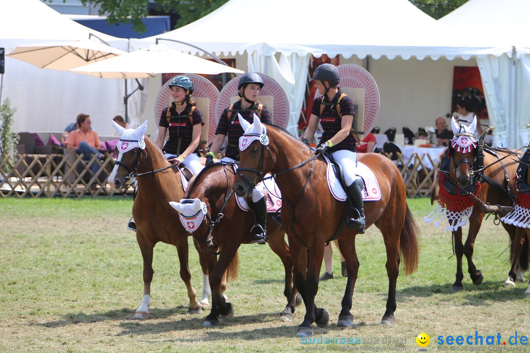 eurocheval - Europamesse des Pferdes - seechat: Offenburg, 27.07.2014