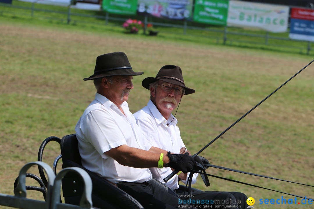 eurocheval - Europamesse des Pferdes - seechat: Offenburg, 27.07.2014