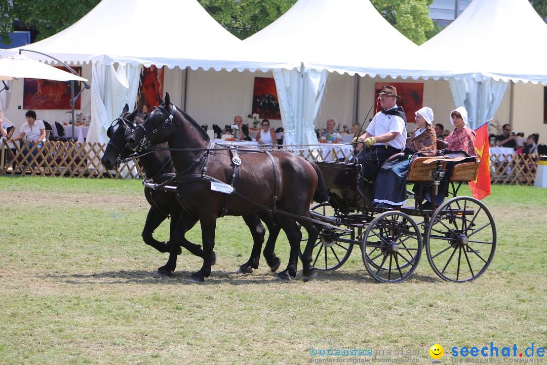 eurocheval - Europamesse des Pferdes - seechat: Offenburg, 27.07.2014
