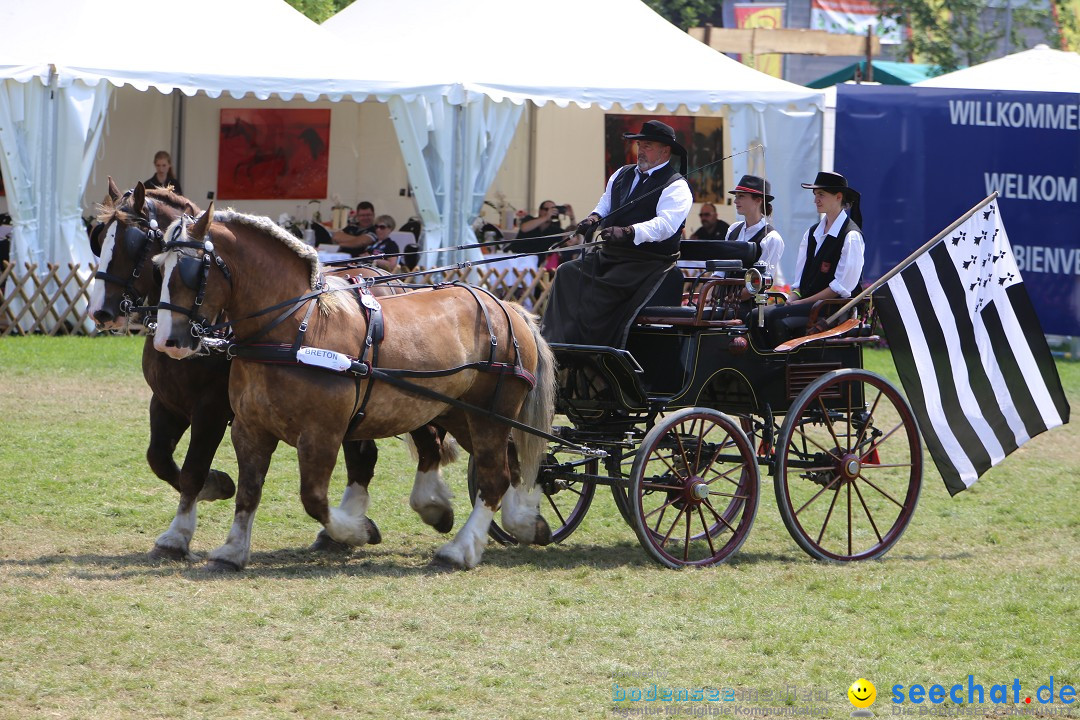 eurocheval - Europamesse des Pferdes - seechat: Offenburg, 27.07.2014