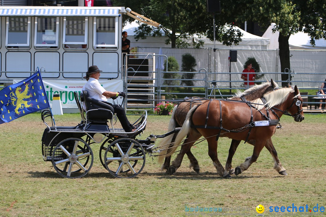 eurocheval - Europamesse des Pferdes - seechat: Offenburg, 27.07.2014