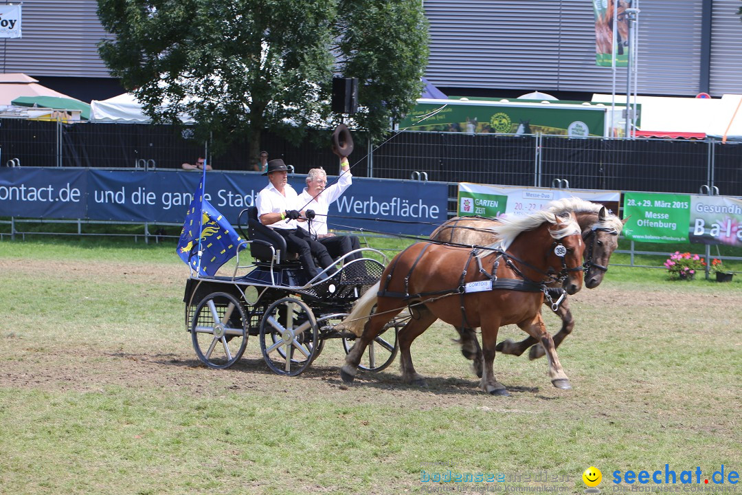 eurocheval - Europamesse des Pferdes - seechat: Offenburg, 27.07.2014