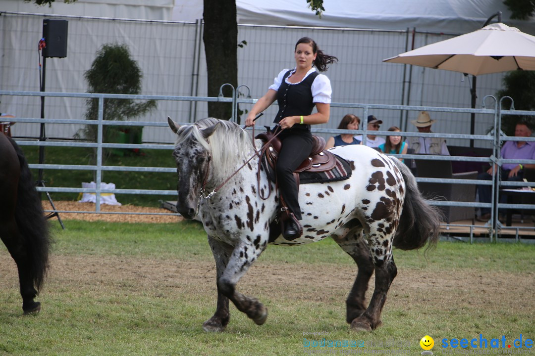 eurocheval - Europamesse des Pferdes - seechat: Offenburg, 27.07.2014