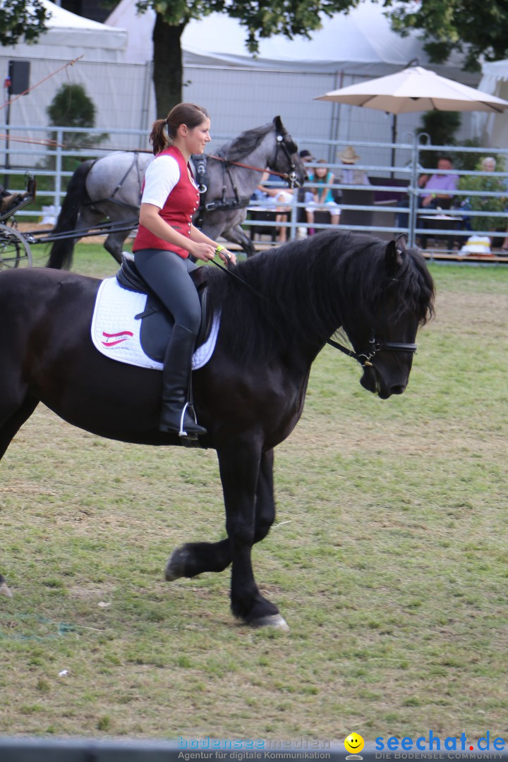 eurocheval - Europamesse des Pferdes - seechat: Offenburg, 27.07.2014