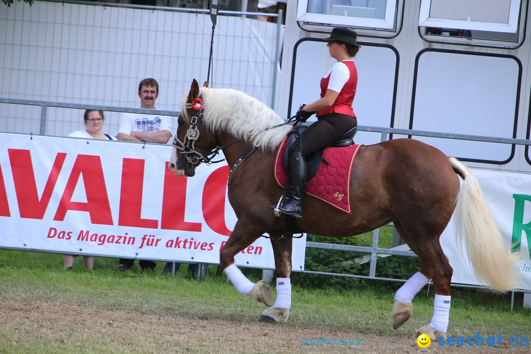 eurocheval - Europamesse des Pferdes - seechat: Offenburg, 27.07.2014
