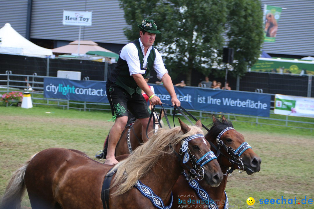 eurocheval - Europamesse des Pferdes - seechat: Offenburg, 27.07.2014