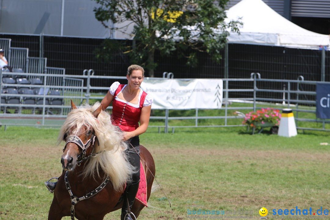 eurocheval - Europamesse des Pferdes - seechat: Offenburg, 27.07.2014