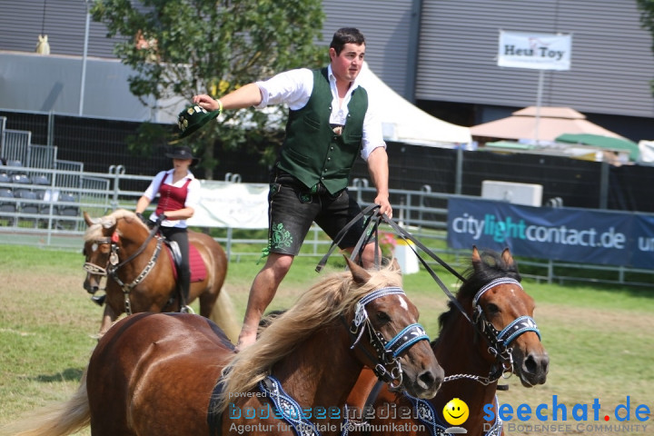 eurocheval - Europamesse des Pferdes - seechat: Offenburg, 27.07.2014
