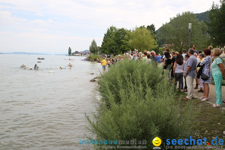 Badewannenrennen DLRG: Bodman-Ludwigshafen am Bodensee, 10.08.2014