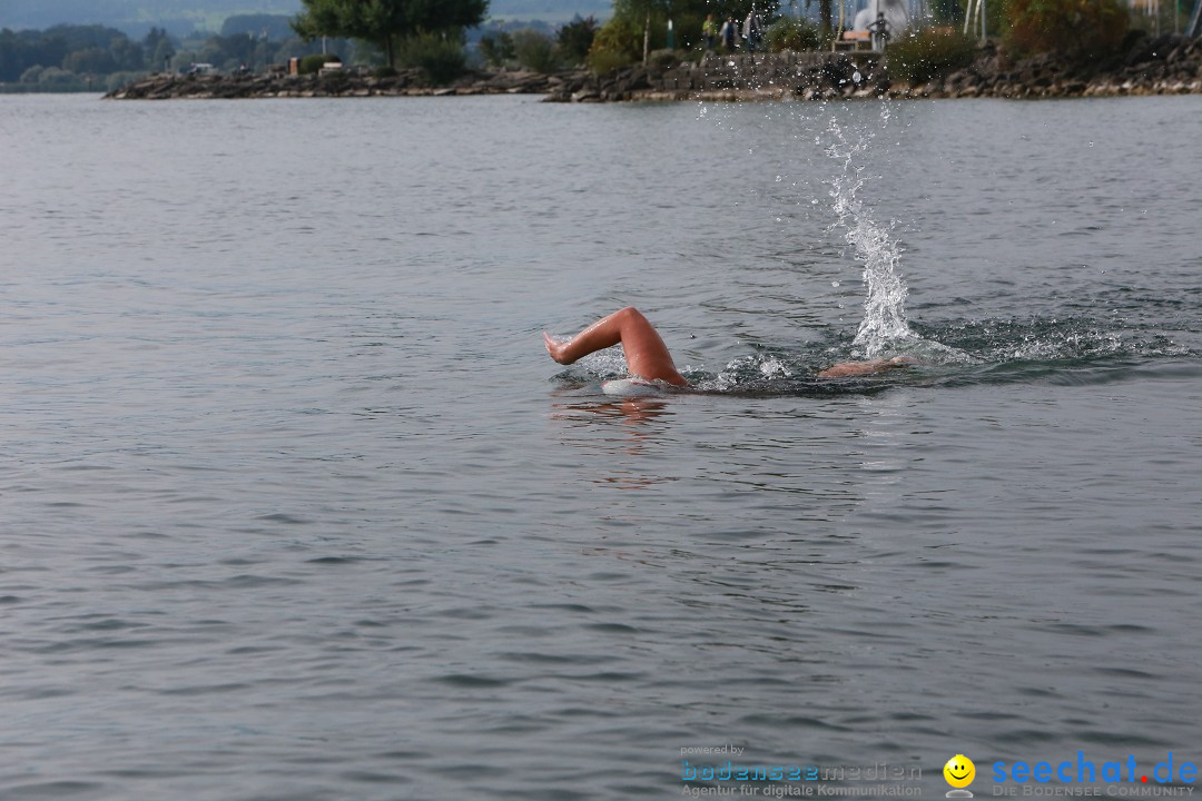 Bodenseequerung mit seechat.de Begleitboot: Jacque: Friedrichshafen, 25.08.