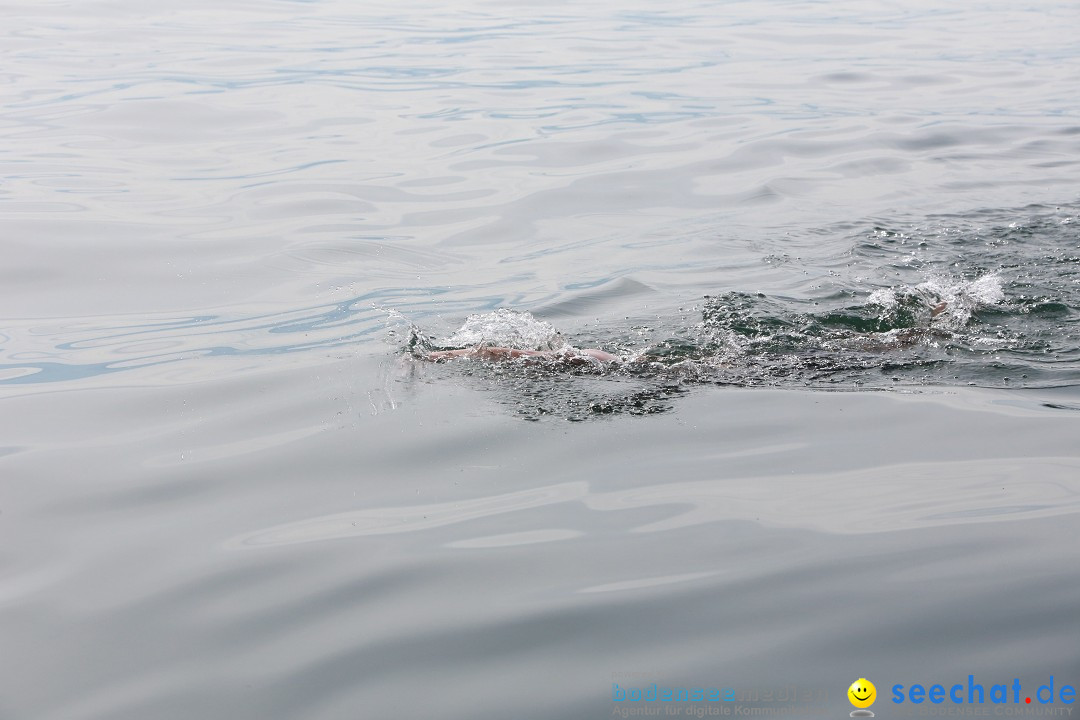 Bodenseequerung mit seechat.de Begleitboot: Jacque: Friedrichshafen, 25.08.