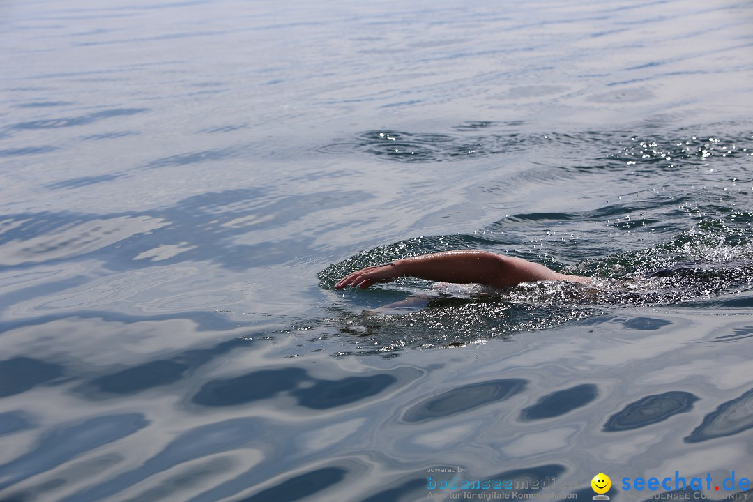 Bodenseequerung mit seechat.de Begleitboot: Jacque: Friedrichshafen, 25.08.