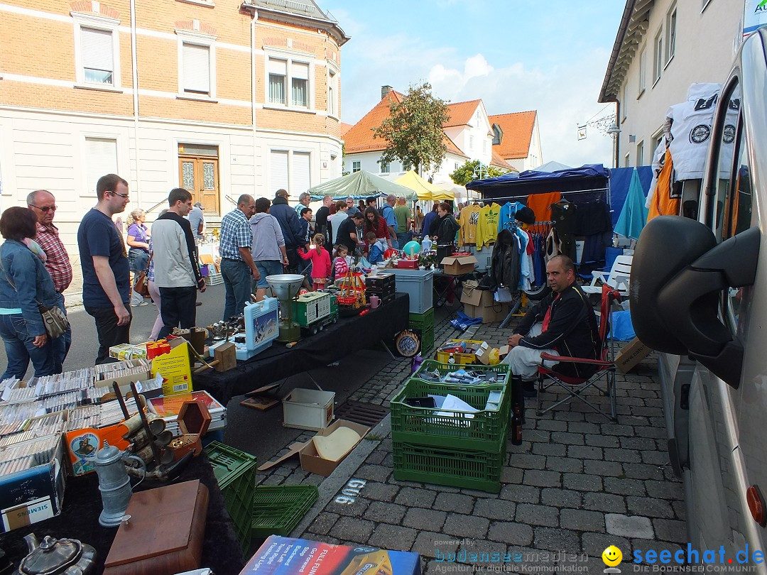 Herbstfest mit Flohmarkt: Bad Buchau, 30.08.2014
