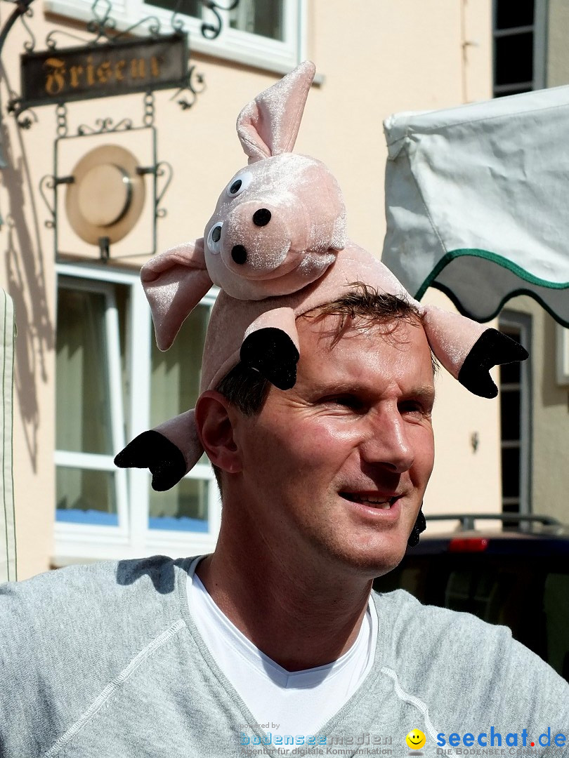 Herbstfest mit Flohmarkt: Bad Buchau, 30.08.2014