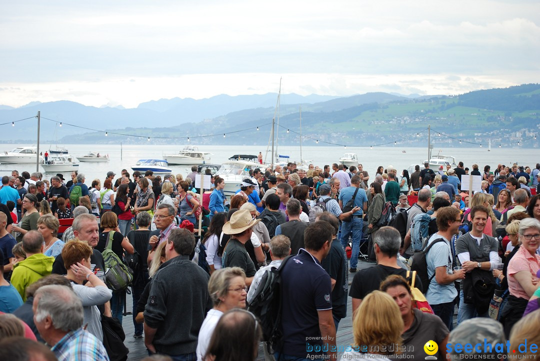 Summerdays Festival: Arbon in der Schweiz am Bodensee, 30.08.2014