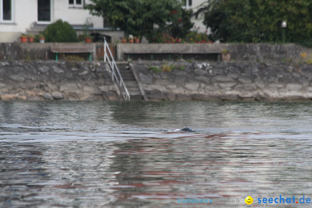 Bodenseequerung-Juergen-170914-Bodensee-Community-SEECHAT_DE-IMG_2599.JPG