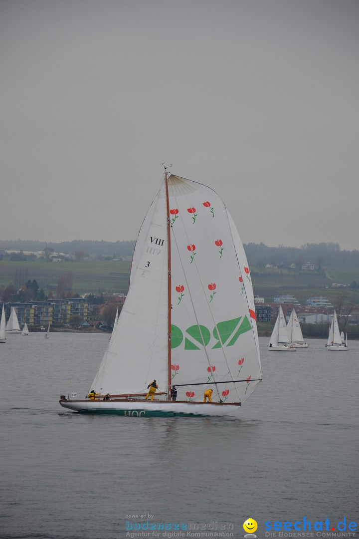 Segelregatta - DIE EISERNE: Konstanz am Bodensee, 29.11.2014