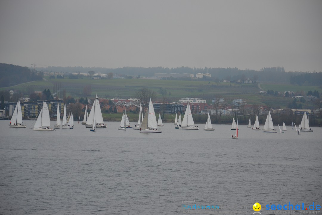 Segelregatta - DIE EISERNE: Konstanz am Bodensee, 29.11.2014