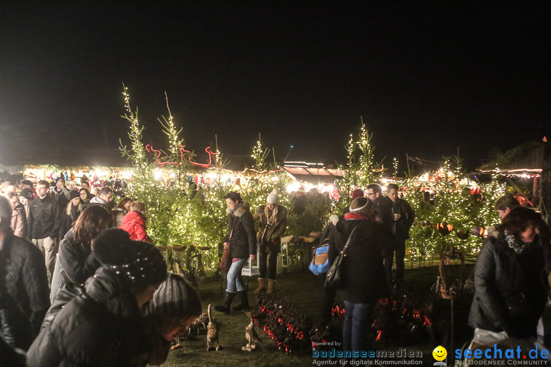 seechat.de - Die Bodensee Community Treffen: Konstanz, 13.12.2014