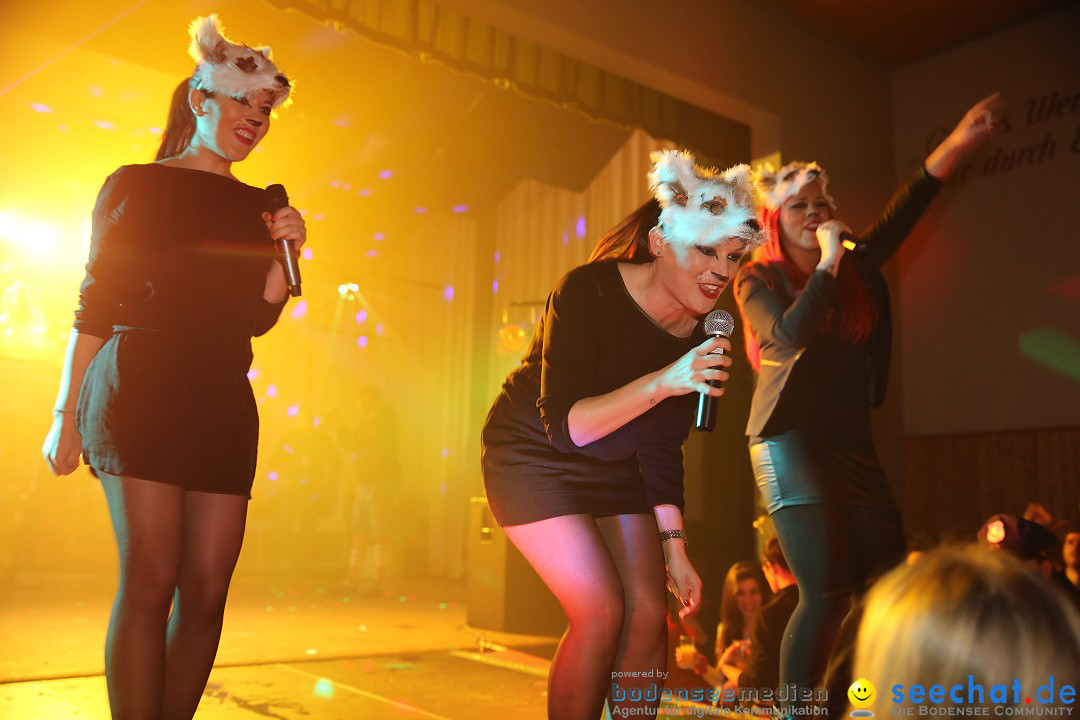 Fasnet Opening: PS Alex - Rick Arena: Sipplingen am Bodensee, 10.01.2015