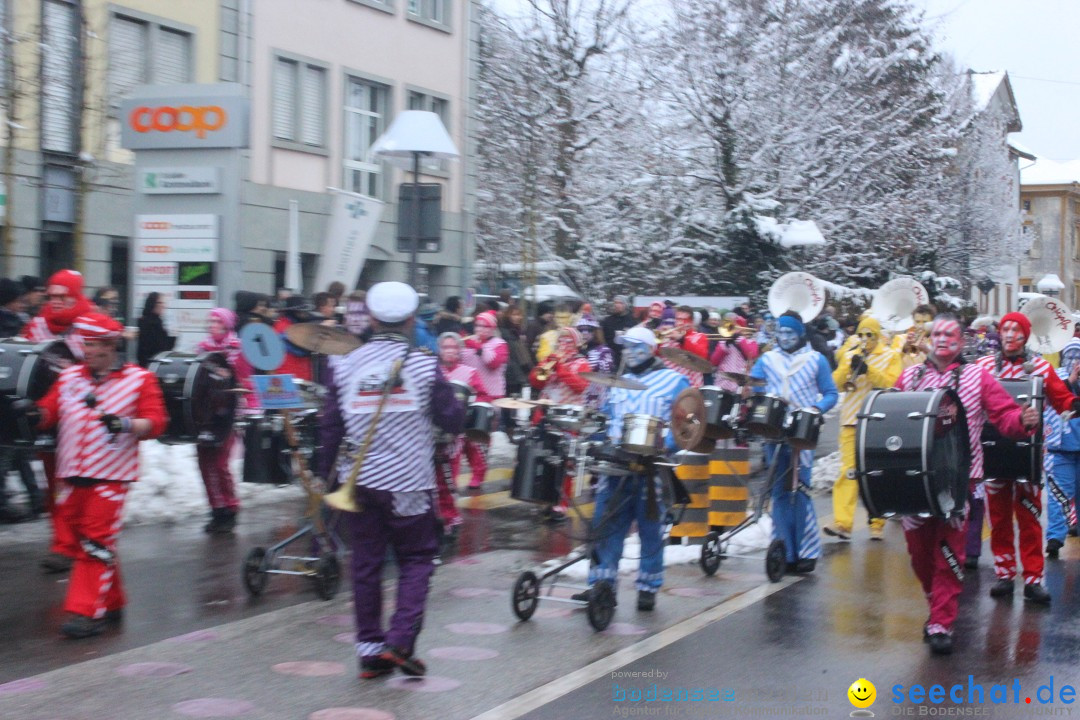 Faschingsumzug mit Motto: Weisch no - Gossau SG, Schweiz, 25.01.2015