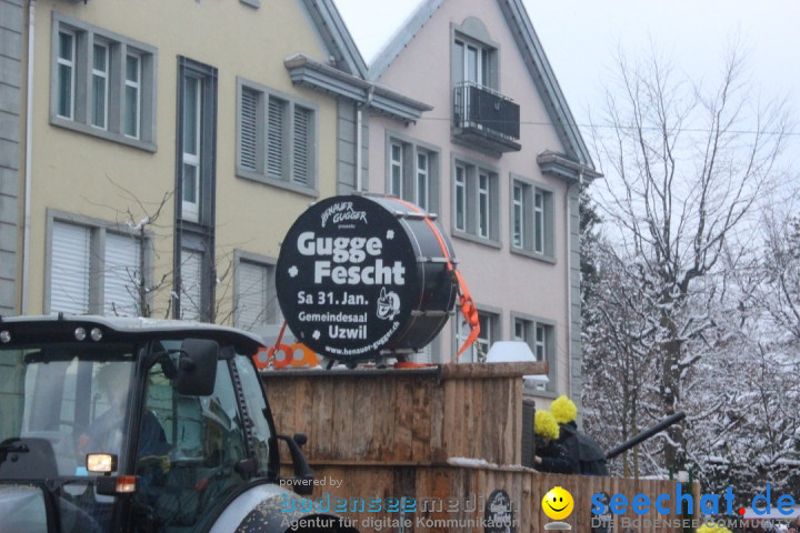 Faschingsumzug mit Motto: Weisch no - Gossau SG, Schweiz, 25.01.2015