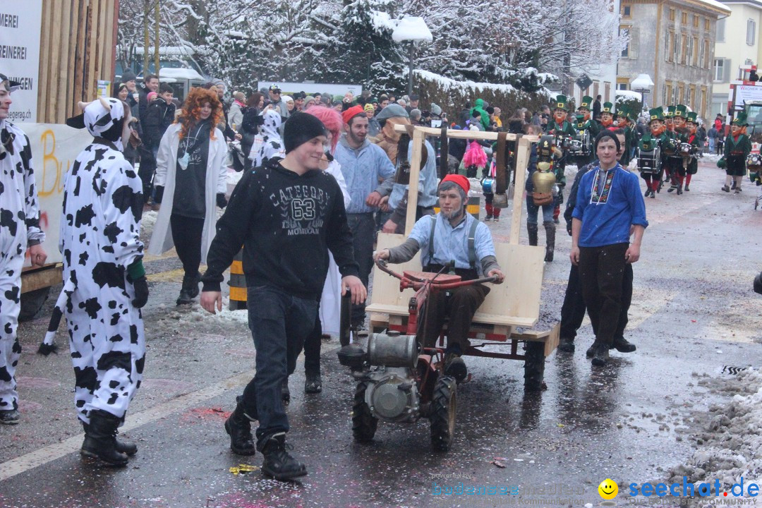 Faschingsumzug mit Motto: Weisch no - Gossau SG, Schweiz, 25.01.2015