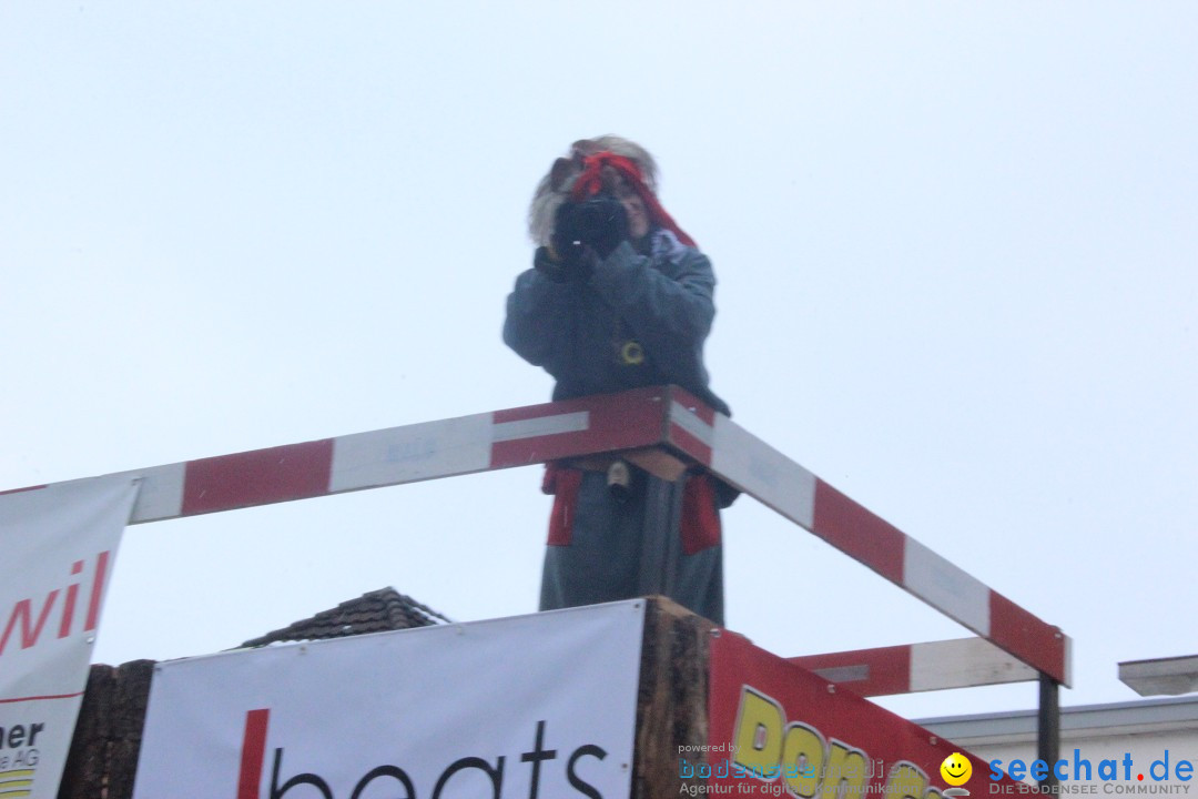 Faschingsumzug mit Motto: Weisch no - Gossau SG, Schweiz, 25.01.2015