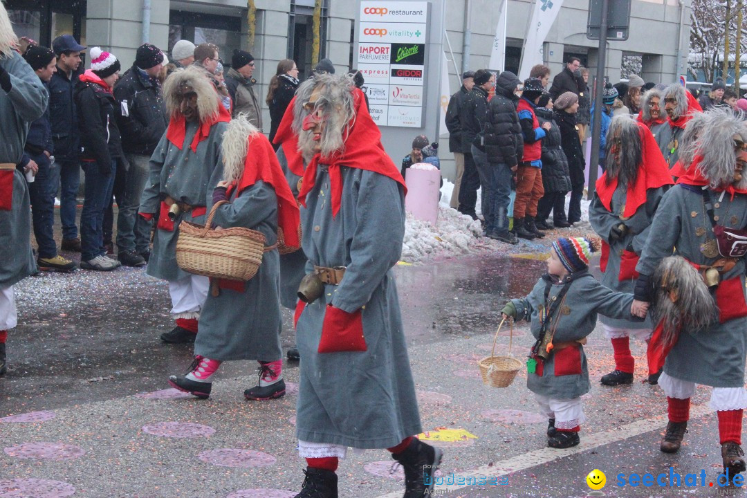 Faschingsumzug mit Motto: Weisch no - Gossau SG, Schweiz, 25.01.2015
