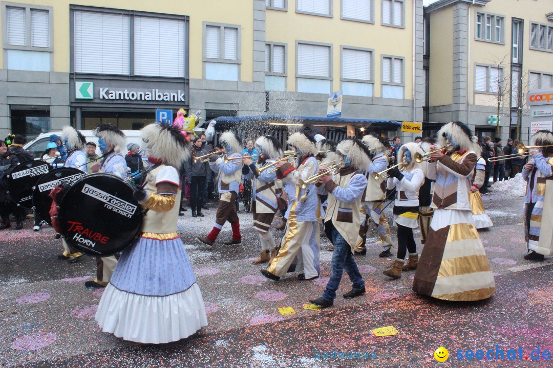Faschingsumzug mit Motto: Weisch no - Gossau SG, Schweiz, 25.01.2015