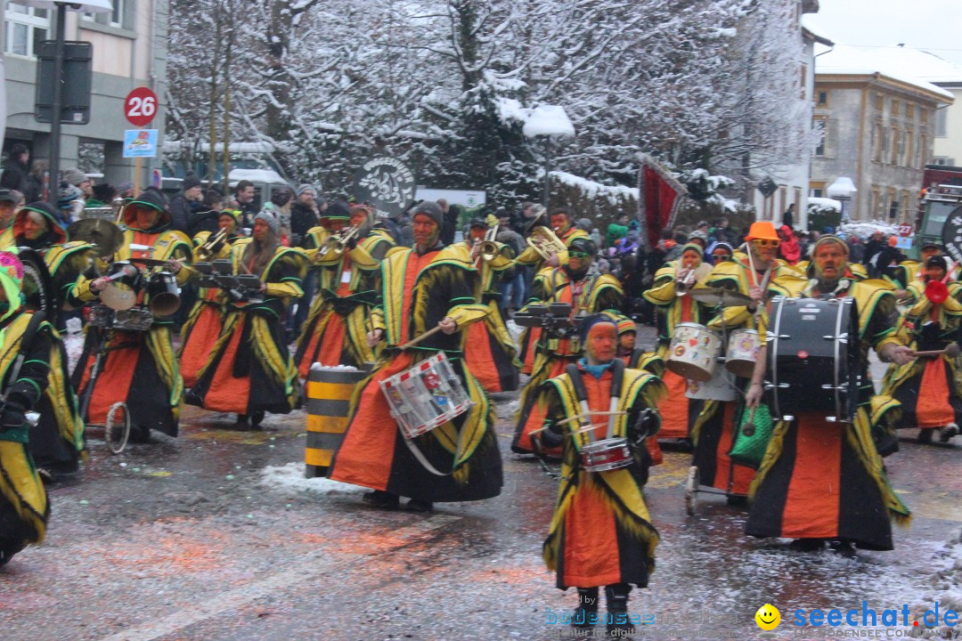 Faschingsumzug mit Motto: Weisch no - Gossau SG, Schweiz, 25.01.2015